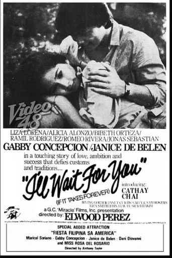 I'll Wait For You (If It Takes Forever) movie poster - Entertainment content