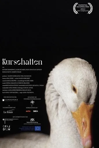 Kurschatten movie poster - Rated 2/10