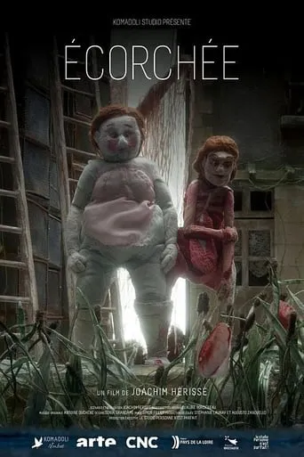 Skinned movie poster - Rated 8.1/10