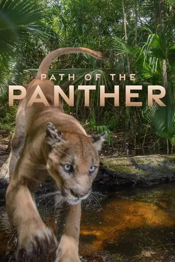 Path of the Panther movie poster - Rated 8/10
