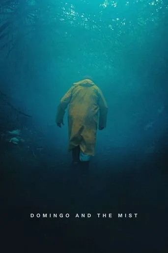 Domingo and the Mist movie poster - Rated 5.6/10