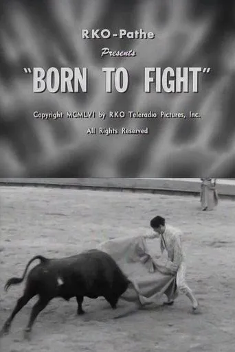 Born to Fight movie poster - Entertainment content