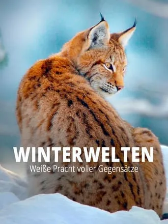 Terra X - Wilde Winterwelten movie poster - Entertainment content