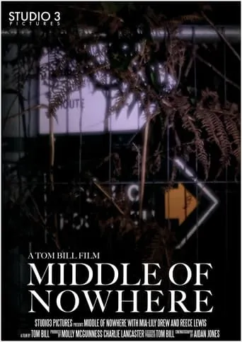 Middle of Nowhere movie poster - Rated 10/10