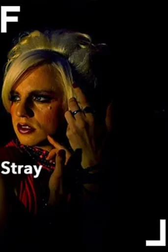 Stray movie poster - Entertainment content