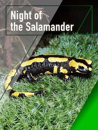 Night of the Salamander movie poster - Entertainment content