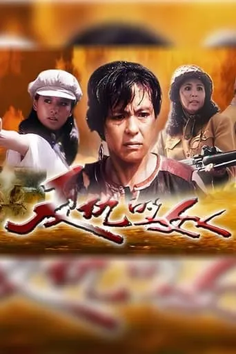 复仇的女人 movie poster - Entertainment content