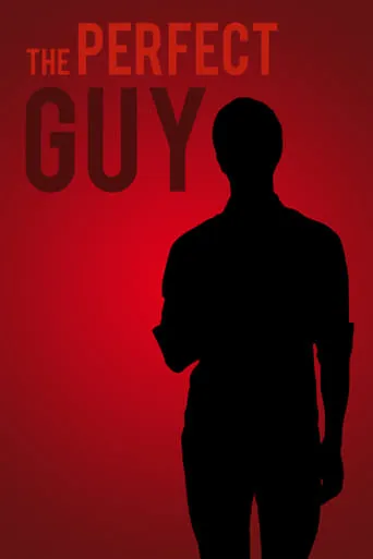 The Perfect Guy movie poster - Entertainment content
