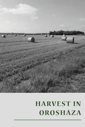 Harvest in Orosháza movie poster - Entertainment content