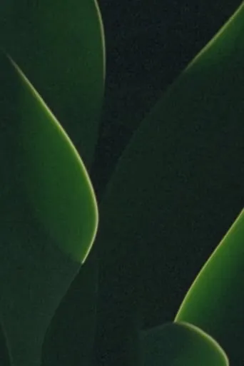 understory movie poster - Rated 10/10