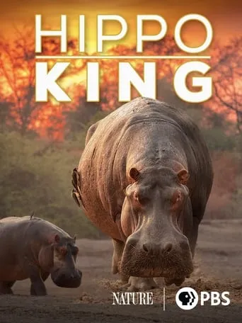 Hippo King movie poster - Rated 8.5/10