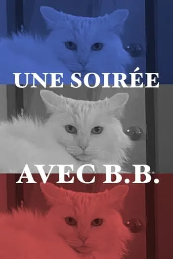 An Evening with B.B. movie poster - Rated 10/10