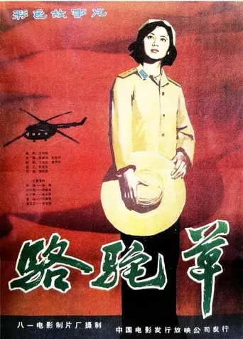 Camel Grass movie poster - Entertainment content