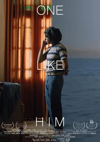 One Like Him movie poster - Entertainment content