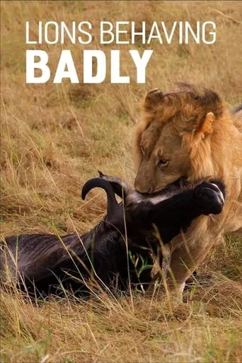 Lions Behaving Badly movie poster - Entertainment content