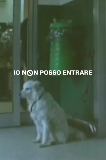 Io non posso entrare movie poster - Rated 8/10