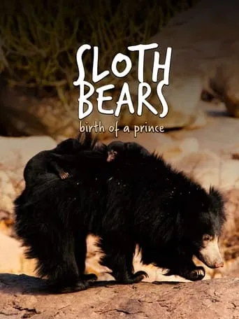 Sloth Bears: Birth of a Prince movie poster - Entertainment content