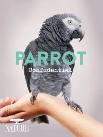 Parrot Confidential movie poster - Rated 6/10