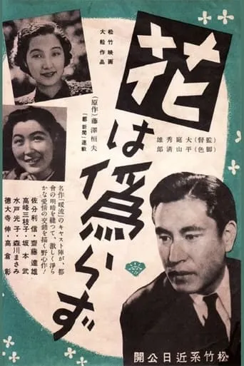 The Flower is not False movie poster - Rated 4.5/10