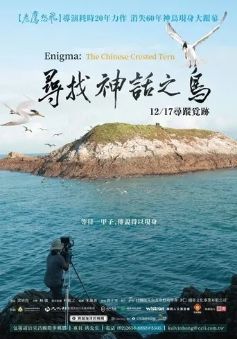Enigma: The Chinese Crested Tern movie poster - Entertainment content