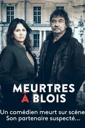 Meurtres à Blois movie poster - Rated 5.4/10