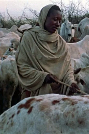 Boran Herdsmen movie poster - Entertainment content