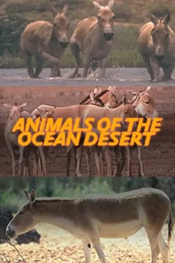 Animals of the Ocean Desert movie poster - Entertainment content