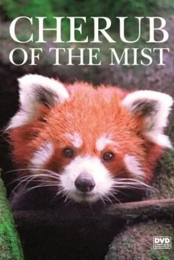 Cherub of the Mist movie poster - Entertainment content