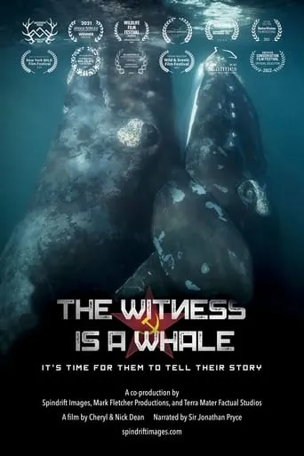 The Witness is a Whale movie poster - Rated 9/10