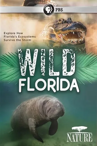 Wild Florida movie poster - Entertainment content