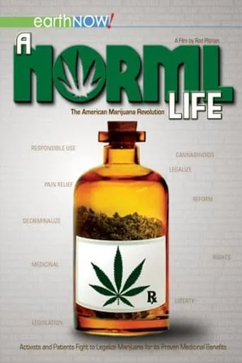 A Norml Life movie poster - Rated 6/10