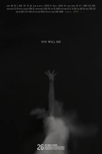 You Will See movie poster - Rated 4.5/10
