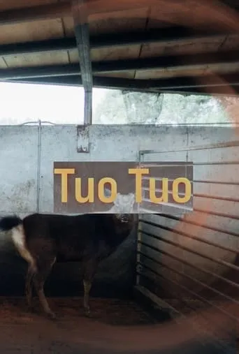 Tuo Tuo movie poster - Rated 6/10