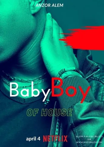Baby Boy of House movie poster - Rated 9/10