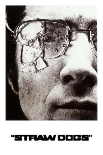 Straw Dogs movie poster - Rated 7.16/10