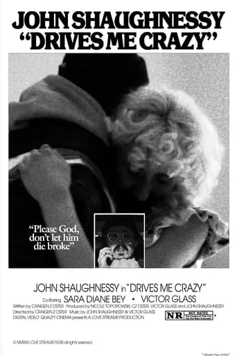 Drives Me Crazy movie poster - Entertainment content