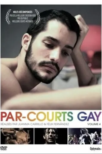 Par-courts Gay, Volume 4 movie poster - Entertainment content