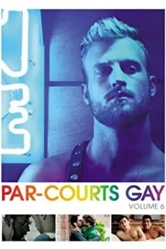 Par-courts Gay, Volume 6 movie poster - Entertainment content