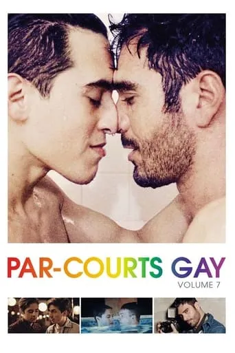 Par-courts Gay, Volume 7 movie poster - Entertainment content