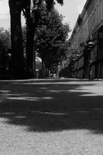 Visit to Bernadette Mayer’s Childhood Home movie poster - Entertainment content