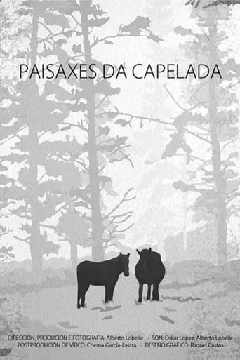 Paisaxes da Capelada movie poster - Entertainment content