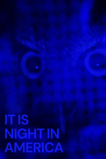 It Is Night in America movie poster - Rated 7/10