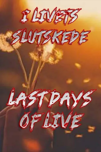 Last Days of Life movie poster - Entertainment content