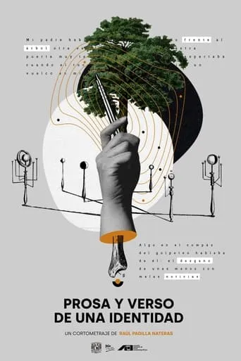Prosa y verso de una identidad movie poster - Entertainment content