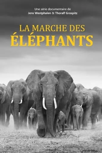 Elefanten hautnah TV series poster - Rated 8/10