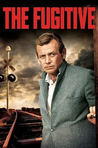 The Fugitive TV series poster - Rated 7.2/10