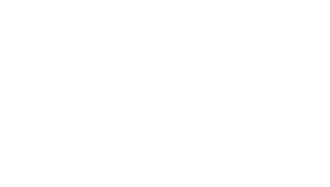 Big Brother