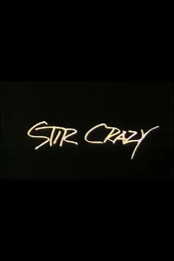 Stir Crazy TV series poster - Rated 5/10