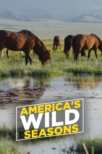 America's Wild Seasons TV series poster - Rated 7/10