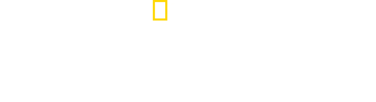 Critter Fixers: Country Vets